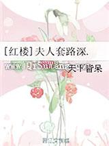 [红楼]夫人套路深.